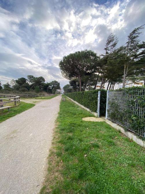 Complesso Mosaico Con Piscina Aperta Giugno Luglio Agosto Appartamenti Sono Arredati Vedi Foto Per Il Check In Agenzia Viale Francesco Petrarca 391 Lido Adriano Ra Esterno foto